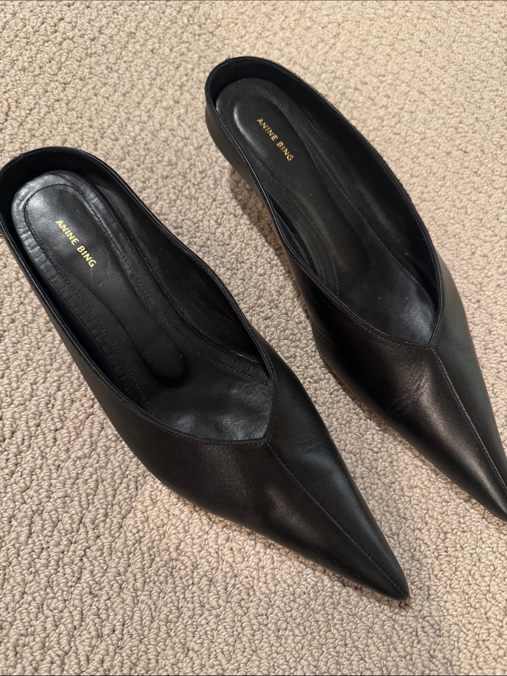Anine Bing Black Pointed-Toe Leather Mule Slides